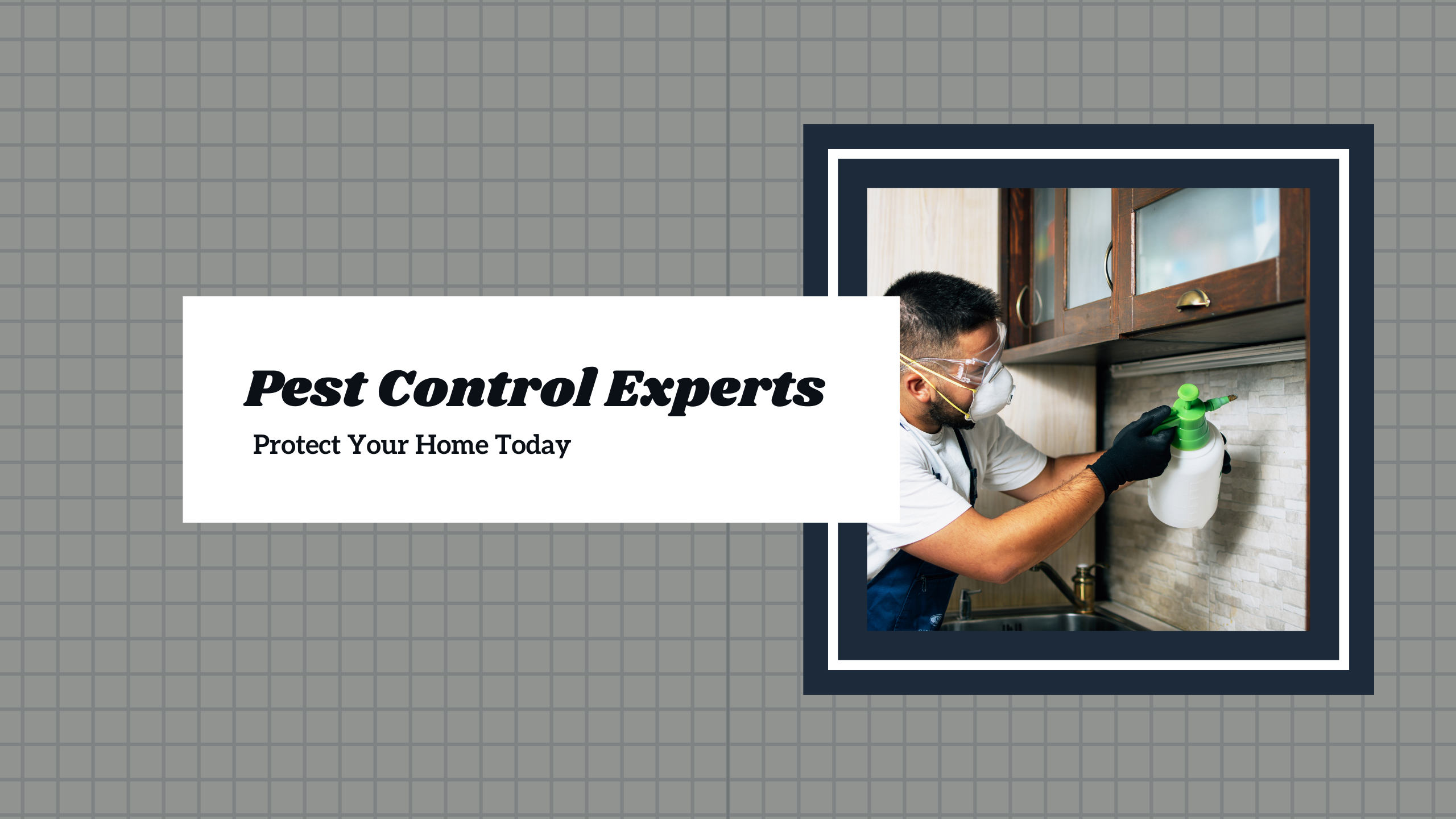 custom web design for pest control